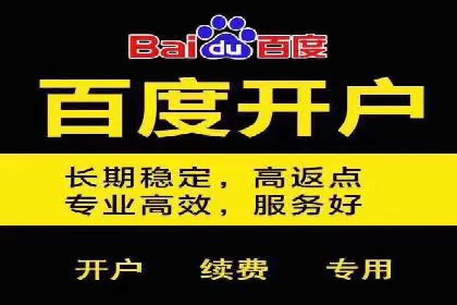 SEM主管案例分析：优化策略